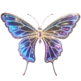  Let butterfly dances 